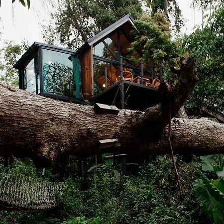 萨科特山Wilderness Treehouse别墅 外观 照片