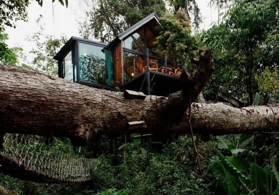 萨科特山Wilderness Treehouse别墅 外观 照片