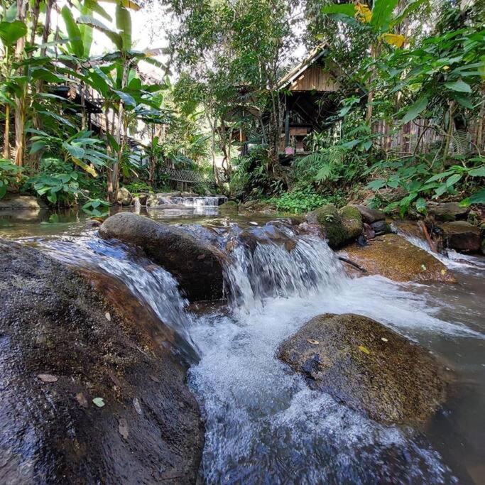 萨科特山Wilderness Treehouse别墅 外观 照片