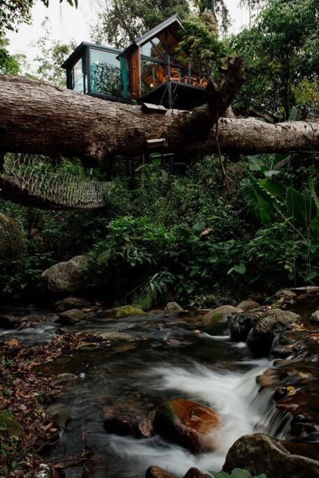 萨科特山Wilderness Treehouse别墅 外观 照片