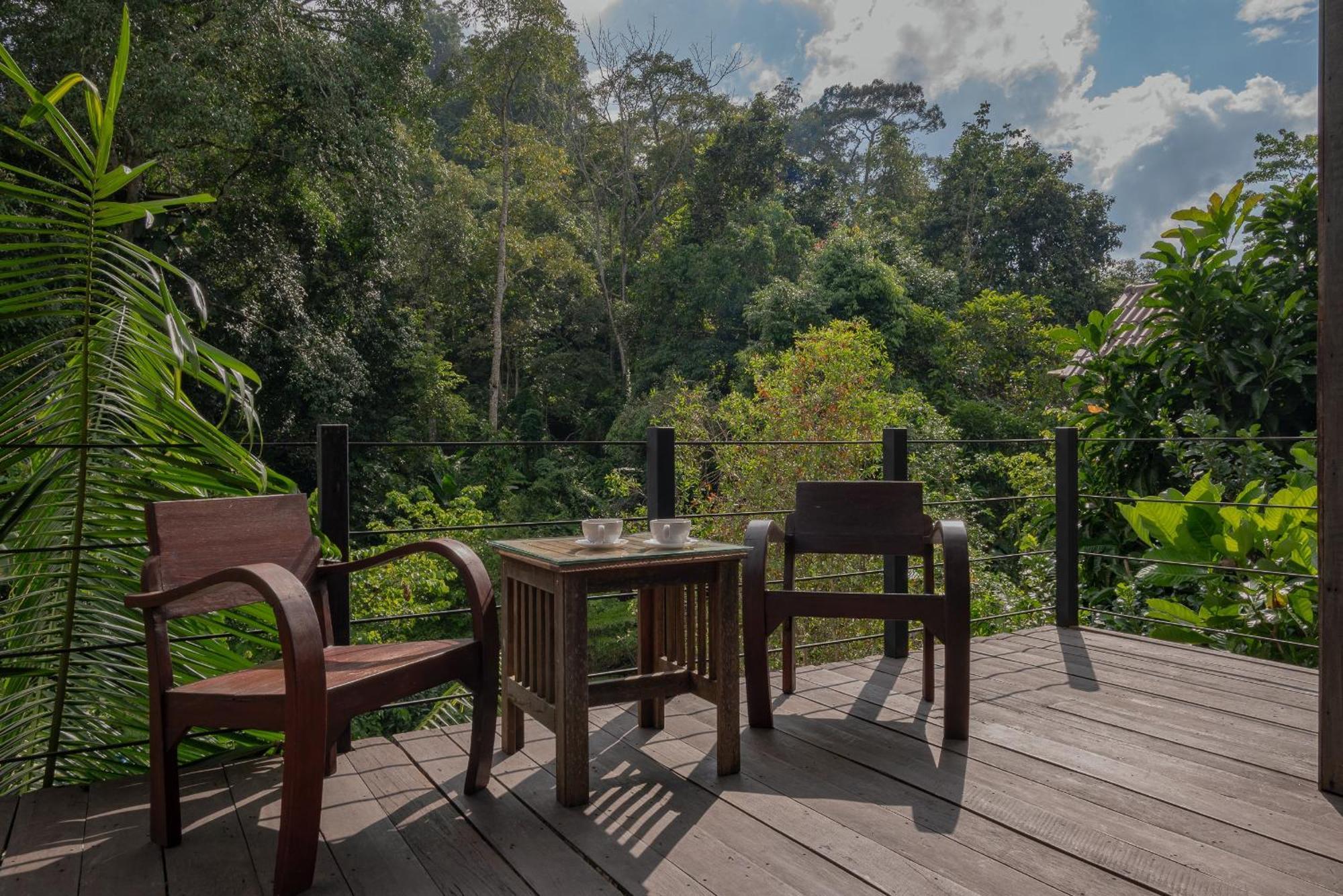 萨科特山Wilderness Treehouse别墅 外观 照片