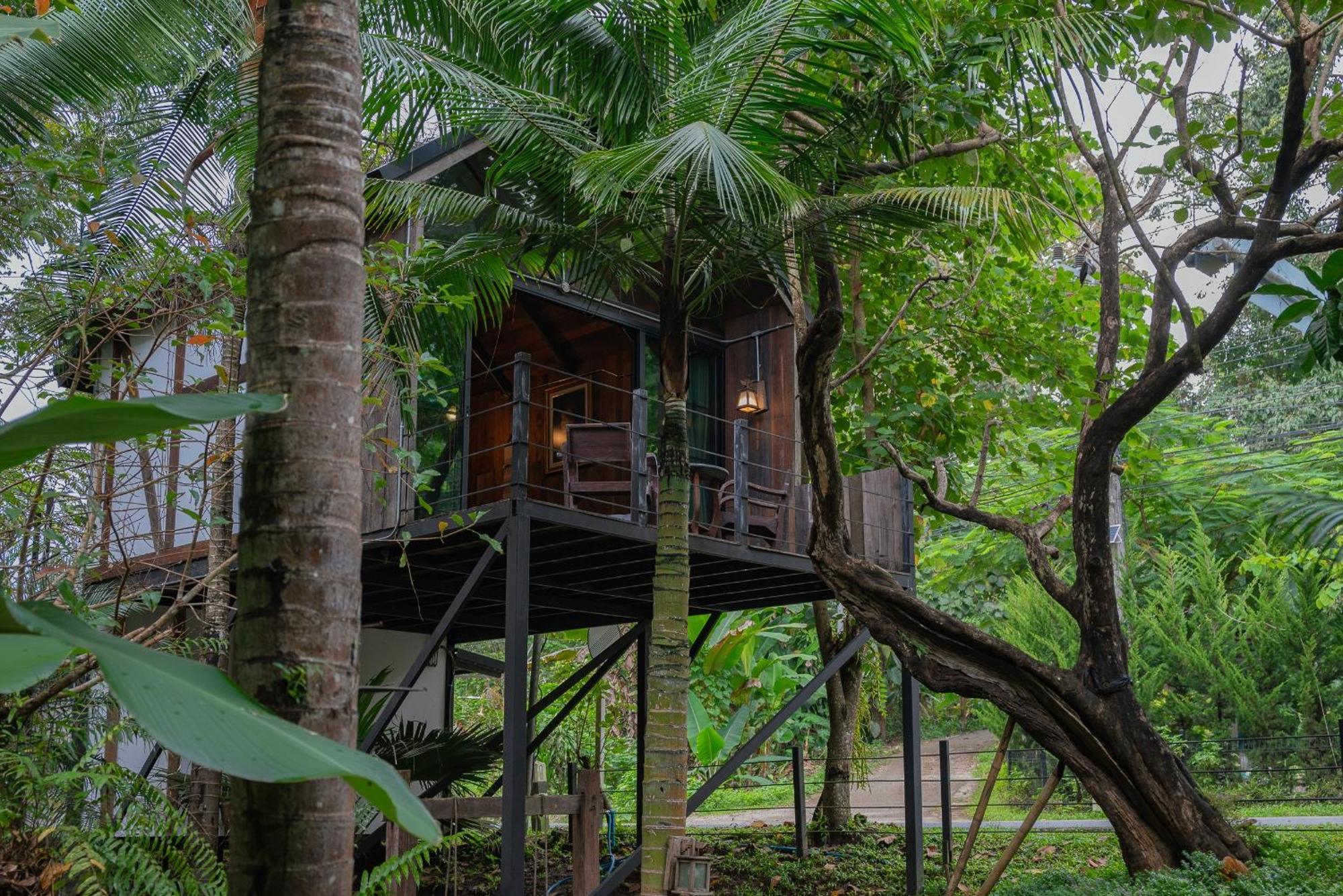 萨科特山Wilderness Treehouse别墅 外观 照片